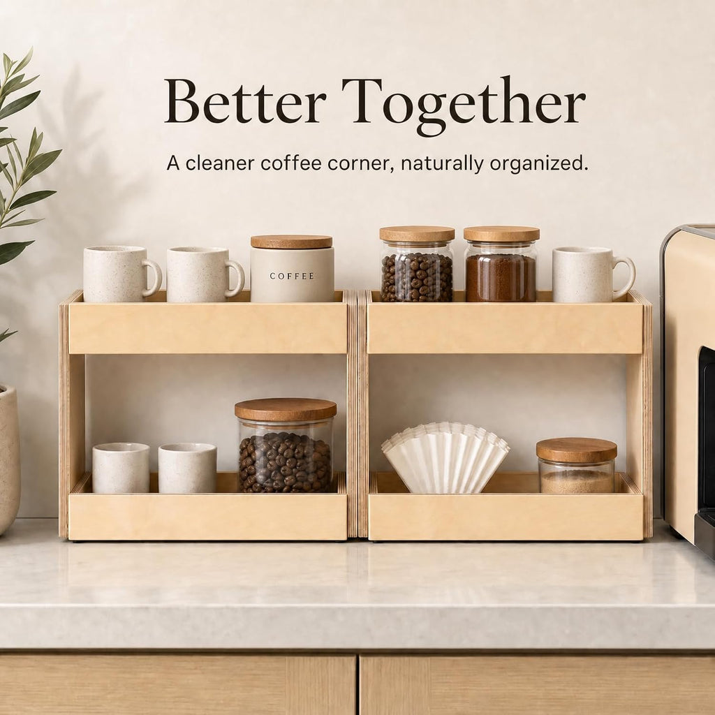 2-Tier Bathroom Kitchen Coffee Station Counter Shelf Organizer